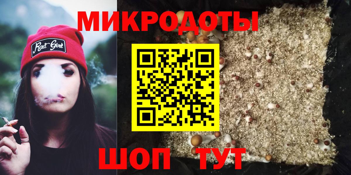 Кудрово  Галлюциногенные грибы MAGIC MUSHROOMS  Вход с VPN 
